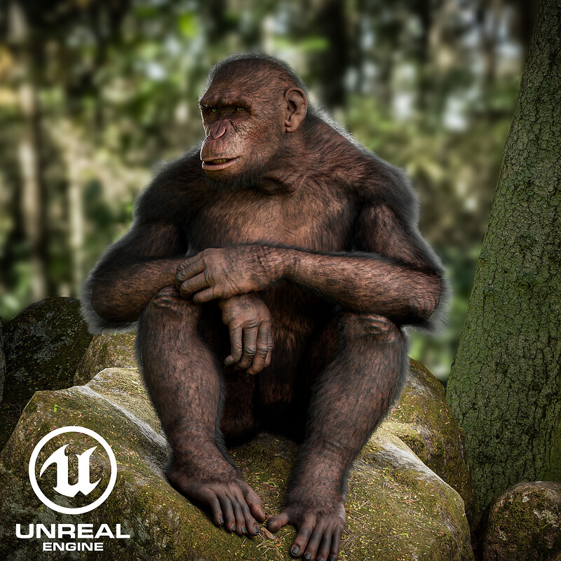 Ape Digital Specimen 05